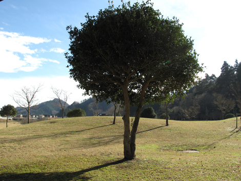 20161229hike (280)
